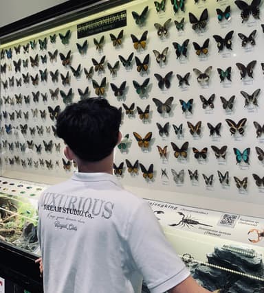 Mohammad Al Hafis Hidayatulloh - Fullstack Developer